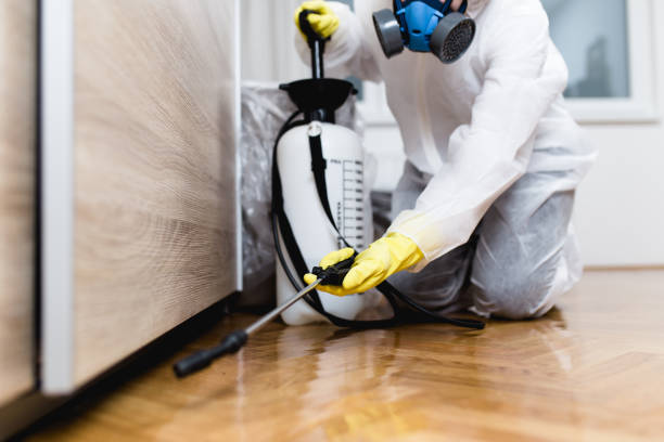 Best Mosquito Control Services  in Redgranite, WI