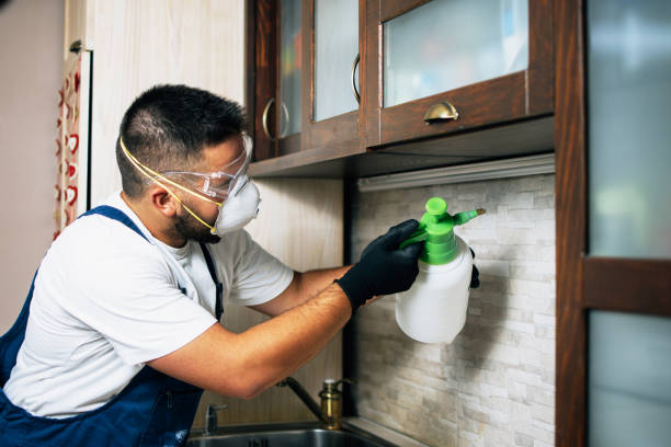 Professional Pest Control in Redgranite, WI