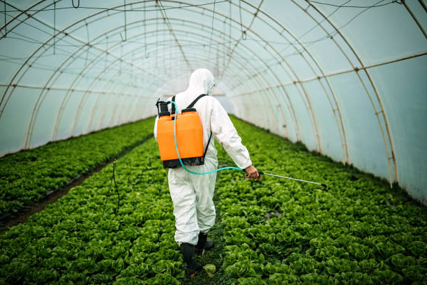 Professional Pest Control in Redgranite, WI