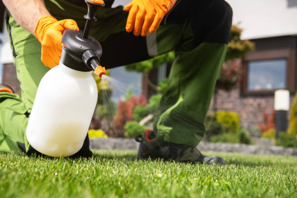 Bird Control in Redgranite, WI
