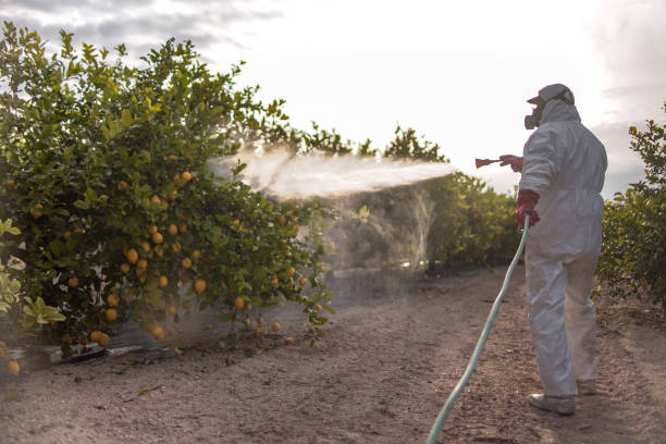 Best Best Pest Control Companies  in Redgranite, WI